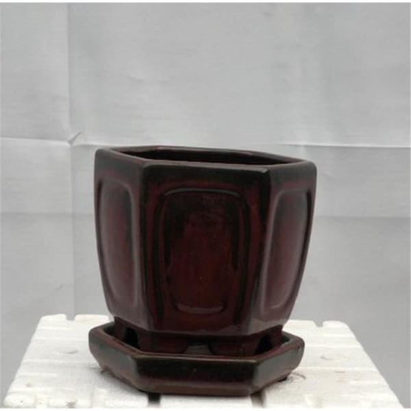 Marco Frio 5.5 x 5.5 x 5.5 in. Parisian Red Ceramic Bonsai Pot with Humidity Drip Tray, Hexagon MA2201944 - main